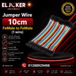 Jumper Wire 10cm FeMale to FeMale (1 wire)